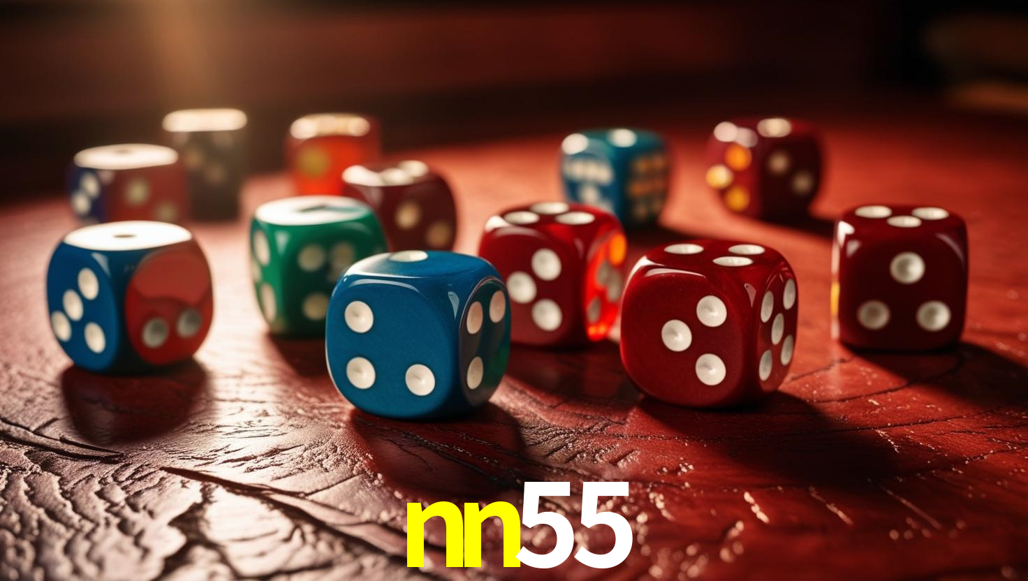 NN55
